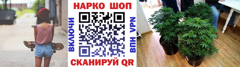 Наркошоп купить Амфетамин  МЕФ  ГАШИШ  Канабис  Гороховец