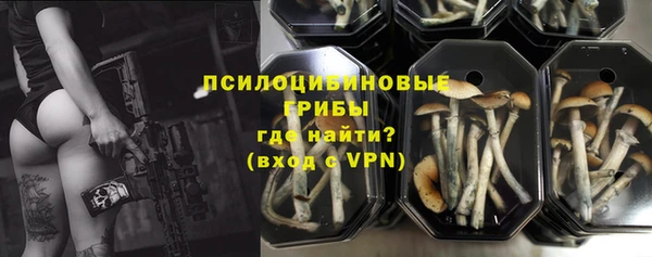 таблы Богородицк