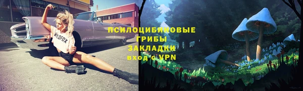 таблы Богданович