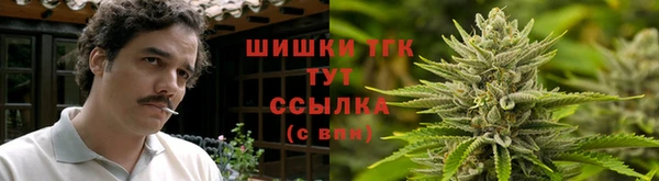 таблы Богданович