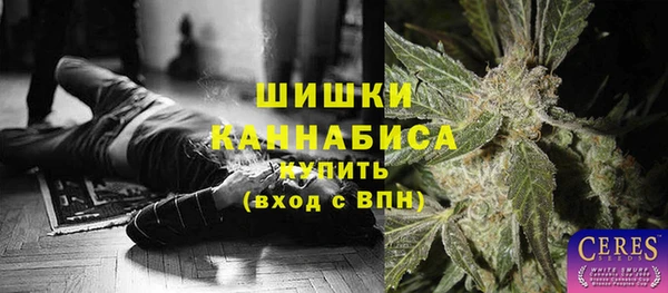 таблы Богородицк